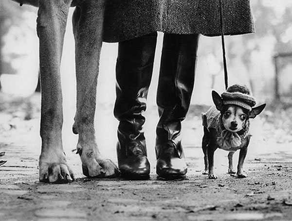 New York, 1954, Elliott Erwitt